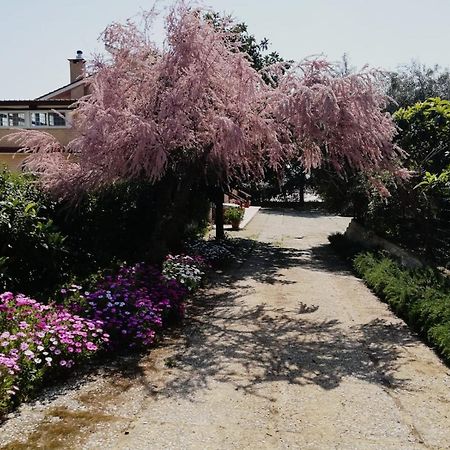 Casa Noemi Apartman Sperlonga Kültér fotó