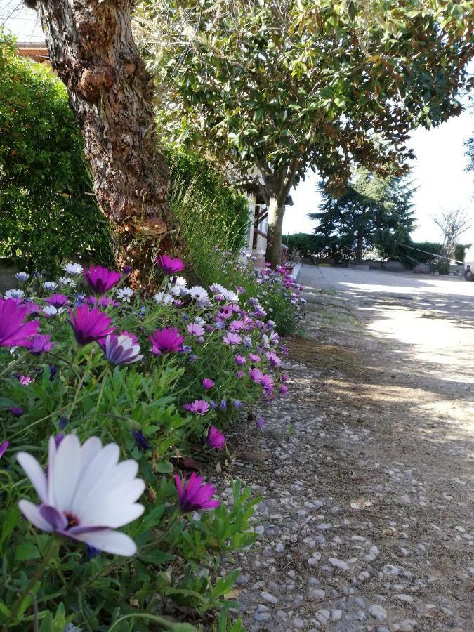 Casa Noemi Apartman Sperlonga Kültér fotó
